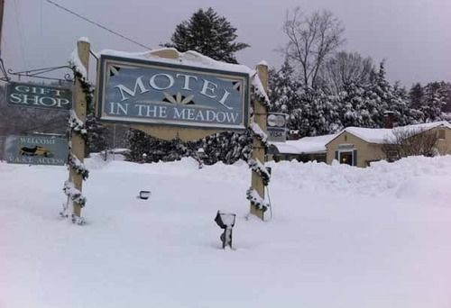 Chester Motel In The Meadow מראה חיצוני תמונה